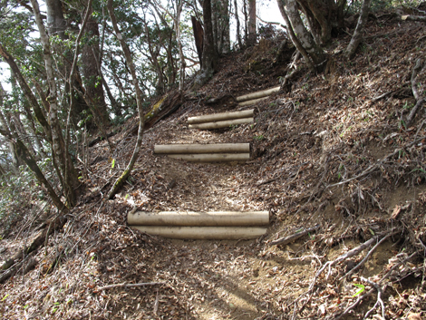 20190108hike (265)